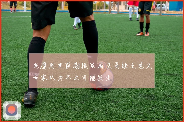 老鹰用里萨谢换浓眉交易缺乏意义专家认为不太可能发生