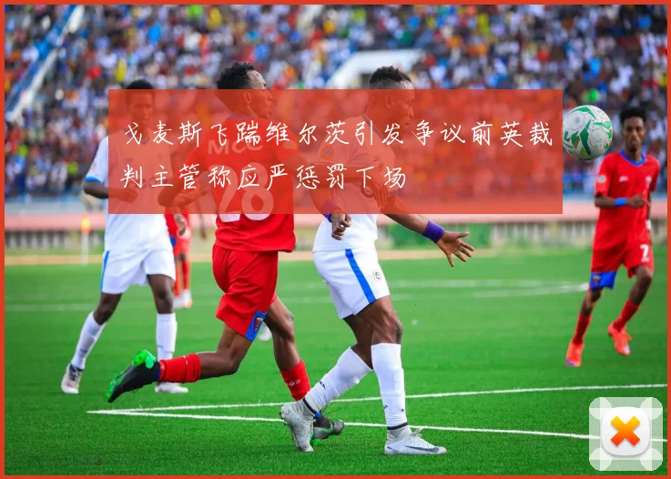 戈麦斯飞踹维尔茨引发争议前英裁判主管称应严惩罚下场